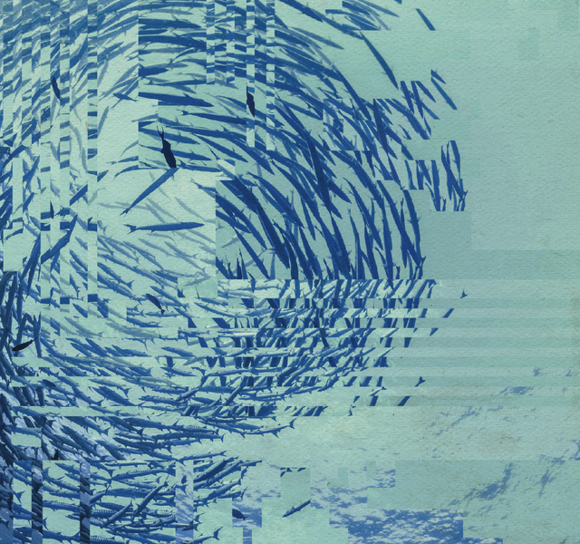 An underwater photo taken looking up to a large circular school of fish while the sun sparkles in the blue water. However, the image is slightly distorted by digital artefacts.