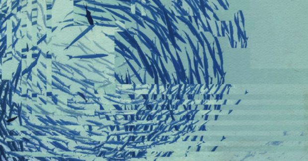 An underwater photo taken looking up to a large circular school of fish while the sun sparkles in the blue water. However, the image is slightly distorted by digital artefacts.