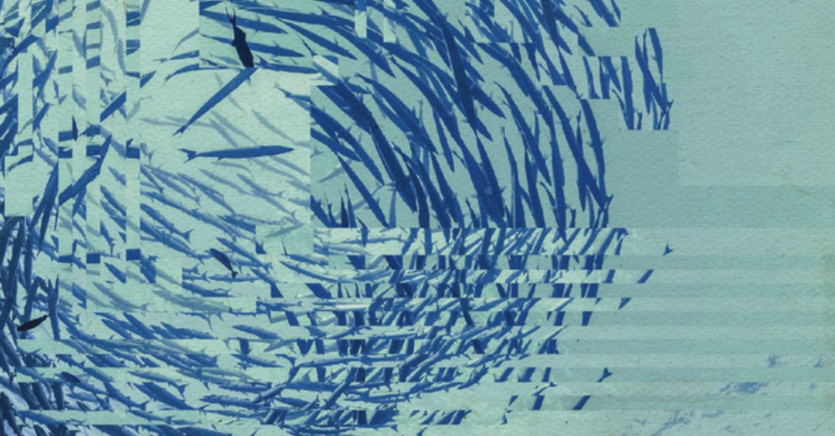 An underwater photo taken looking up to a large circular school of fish while the sun sparkles in the blue water. However, the image is slightly distorted by digital artefacts.