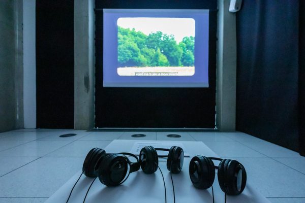 Image of artworks from the Tipping Point exhibition. Credit Chris Scott.